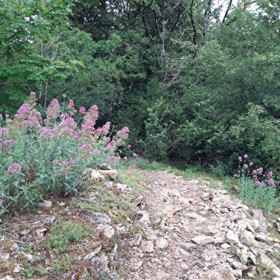 Fort de Chaudanne