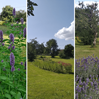 Visite gourmande aux plantes - BARRETAINE