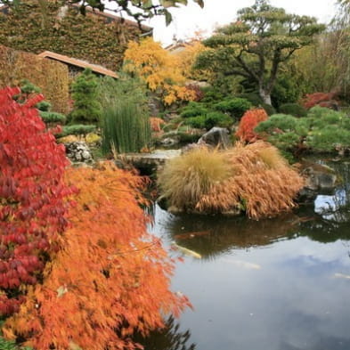 L'atelier jardin