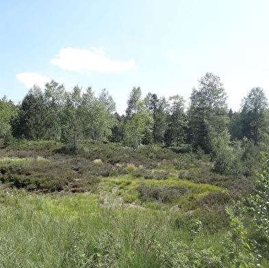 Sentier Isenbart