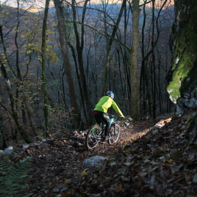 Mont Poupet Bike Park