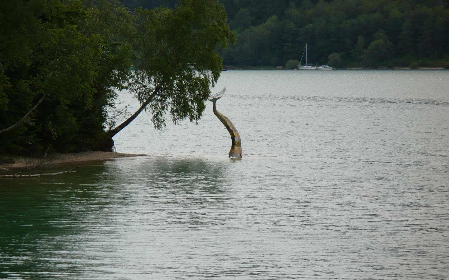 Sentier 'La Sirène Egarée'
