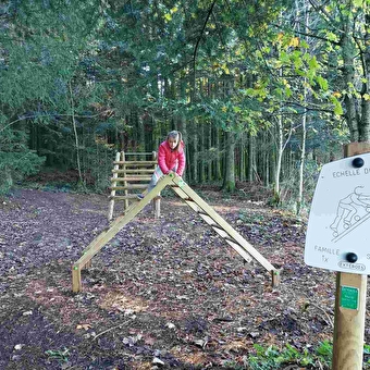 Sport & bien-être en forêt, parcours sportif - LE LUHIER