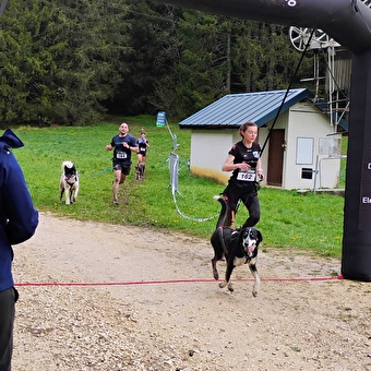 Canicross - Les grenouilles sur un plateau - PLATEAU D'HAUTEVILLE