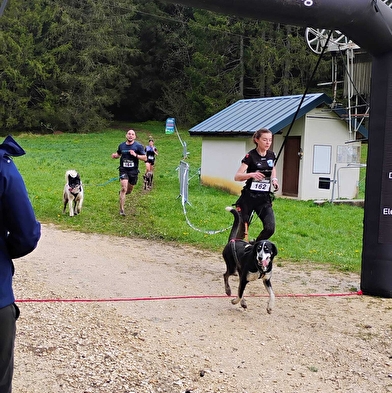 Canicross - Les grenouilles sur un plateau