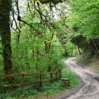 La Rêverotte
