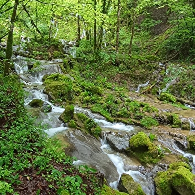 Source Bleue
