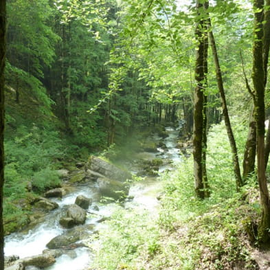 Parcours intégral des cascades du Hérisson