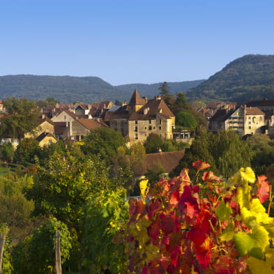 Balades entre les vignes : Arbois