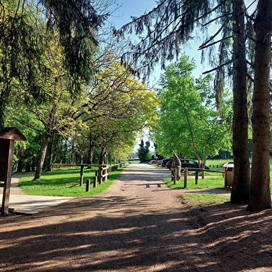 La forêt de Rothonne