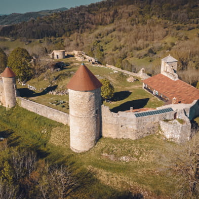 Visites guidées - portes ouvertes au Château de Chevreaux