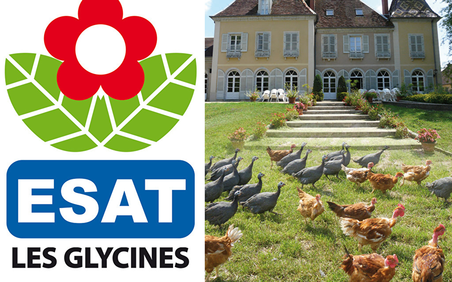 La Ferme Les Glycines