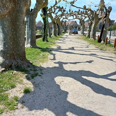 Repos en bord de Seille