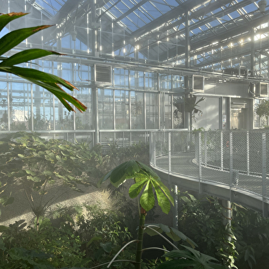 Le Jardin botanique, Biome