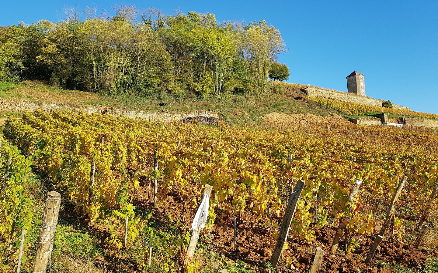 Circuit des Vignes - 10V