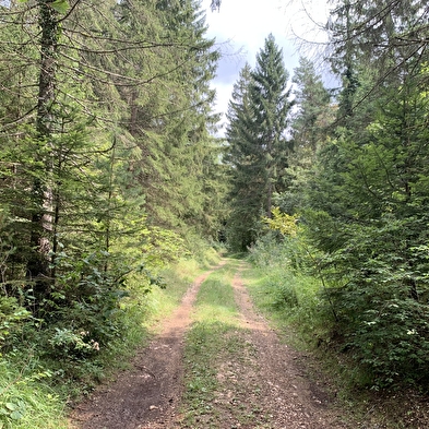 Randonnée - Le petit tour du plateau de Chamoise
