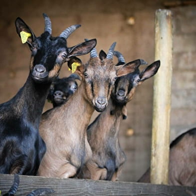 La Ferme Fantazy