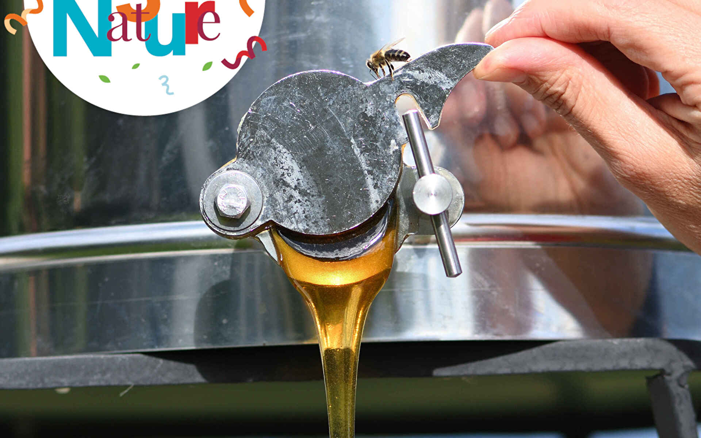 ATELIER 123 NATURE : Extraction de miel