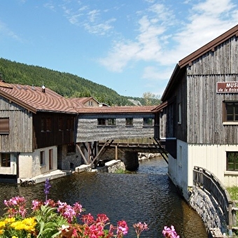 3 jours d'itinérance dans le Haut-Jura - Le lynx intrépide - MORBIER