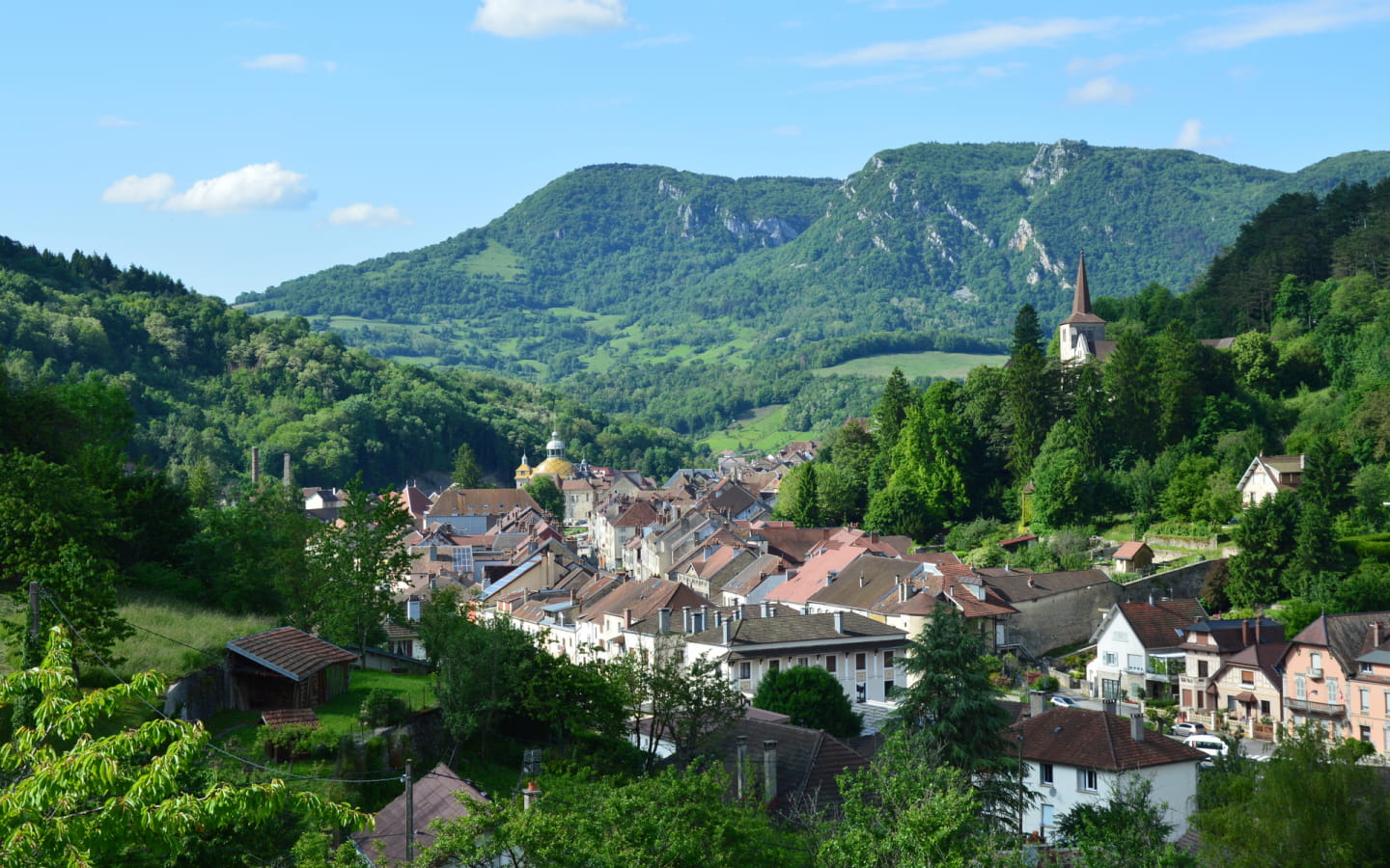Salins les bains et le Mont Poupet