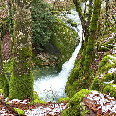 Source du Bief de la Ruine et Creux des Joyaux