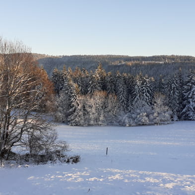 La Ferme du Cerneux Billard