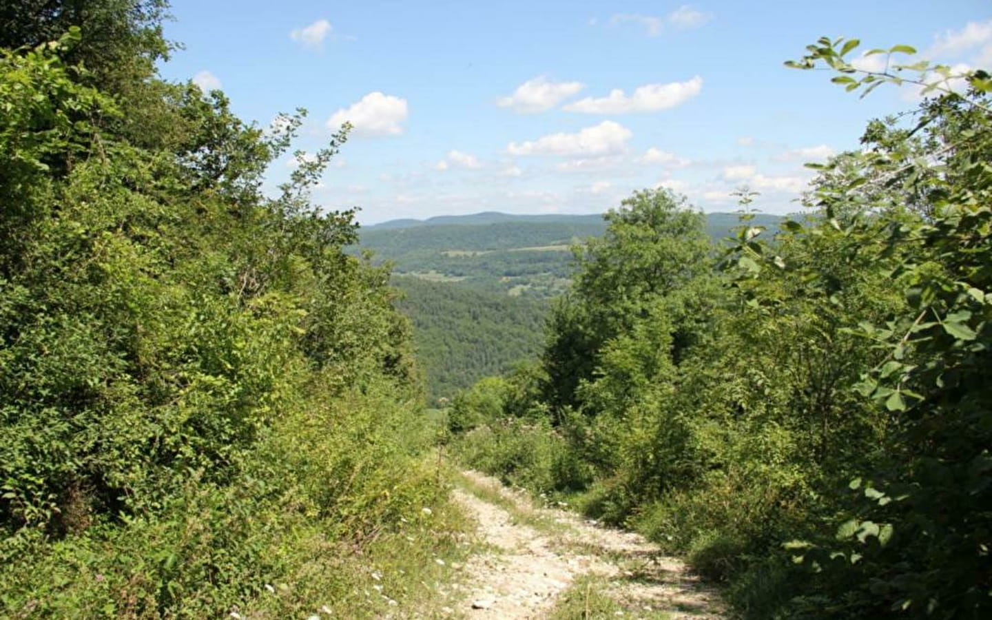 Mont Nivigne