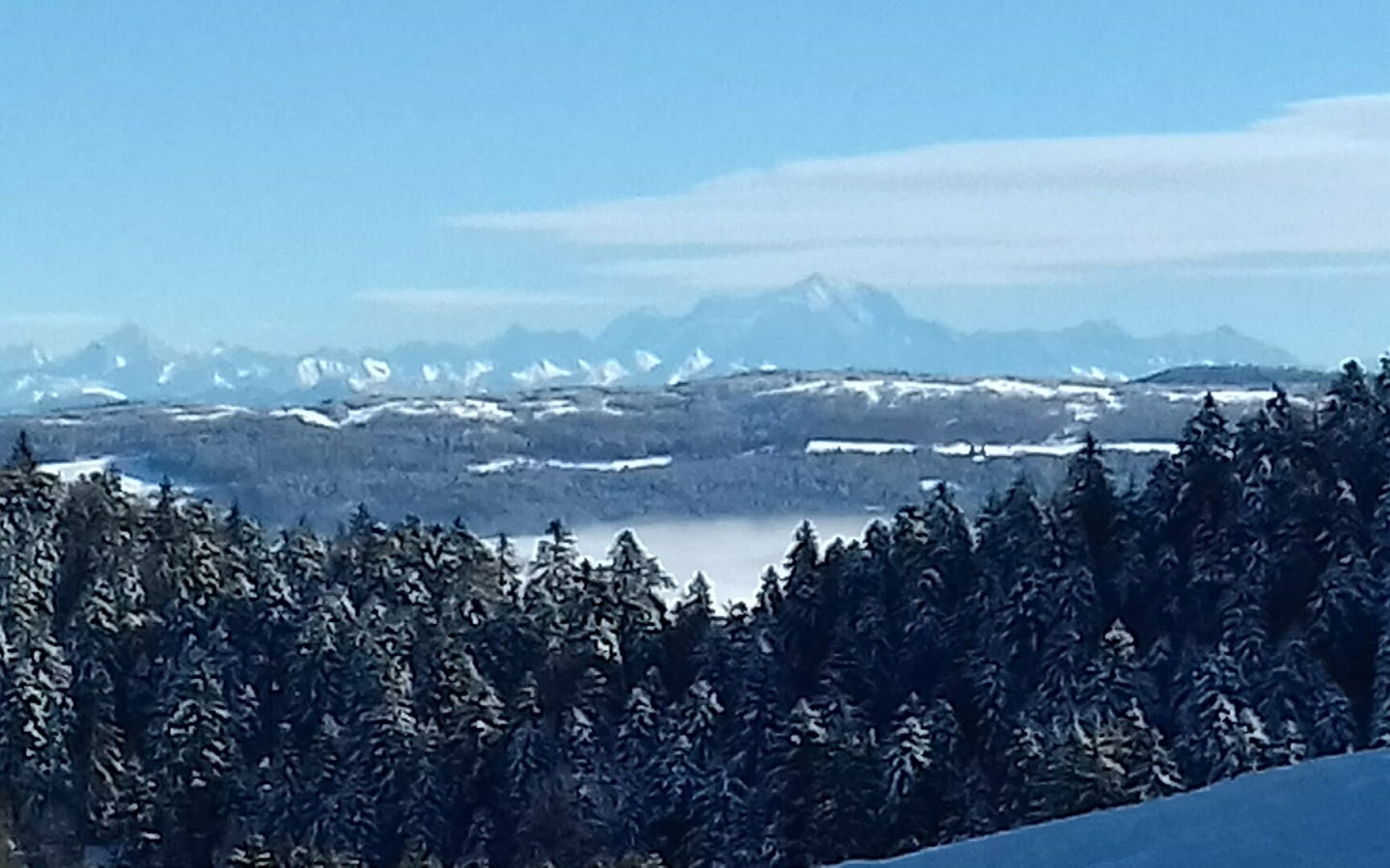 La Renon - Piste verte de ski nordique