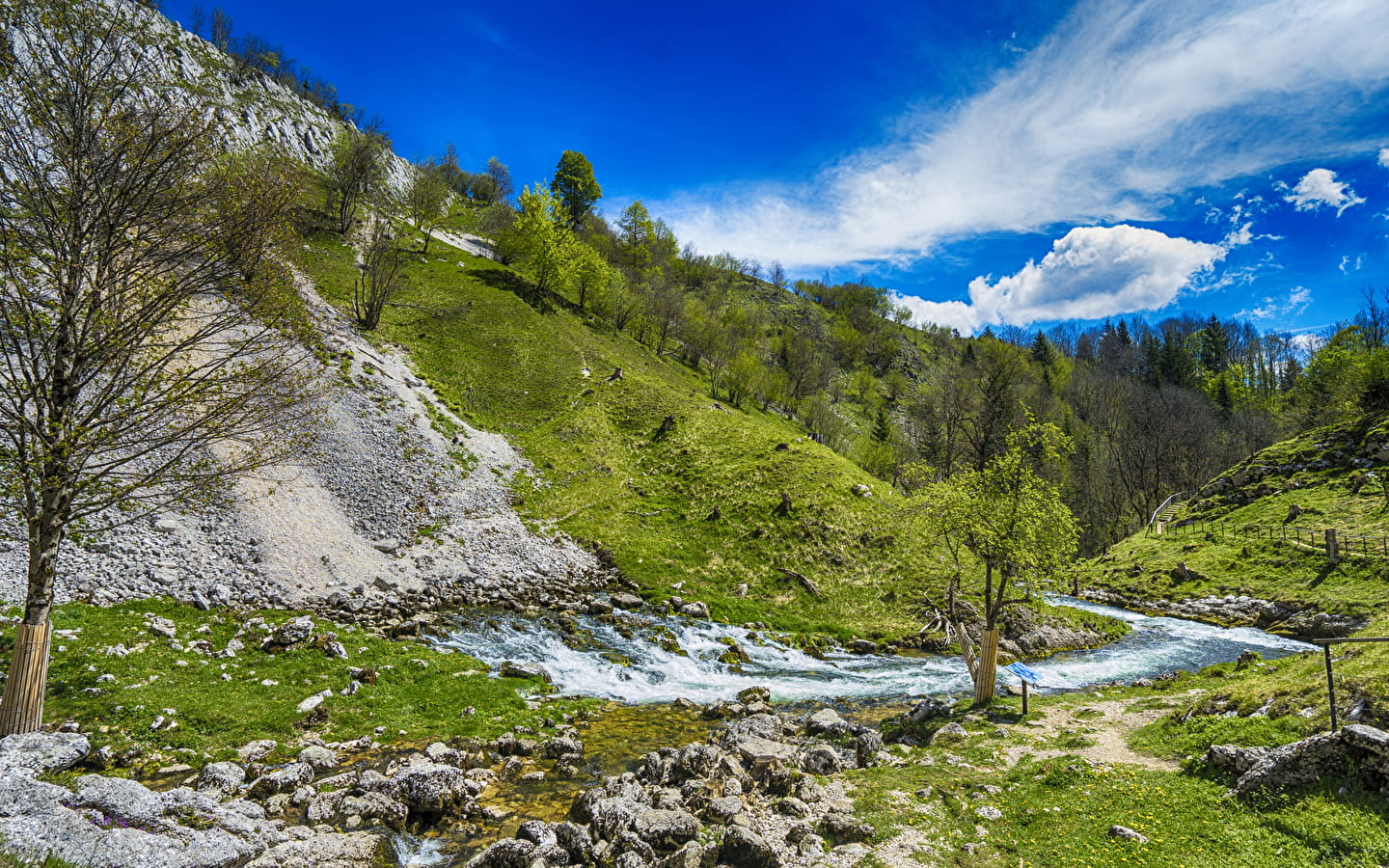 Source de la Saine