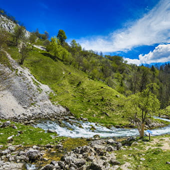 Source de la Saine - FONCINE-LE-HAUT