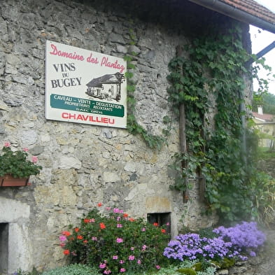 Domaine des Plantaz