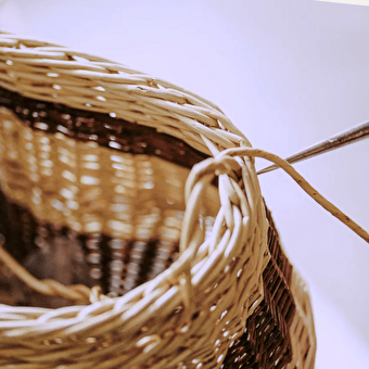 Les Paniers de Cha - ECOLE-VALENTIN