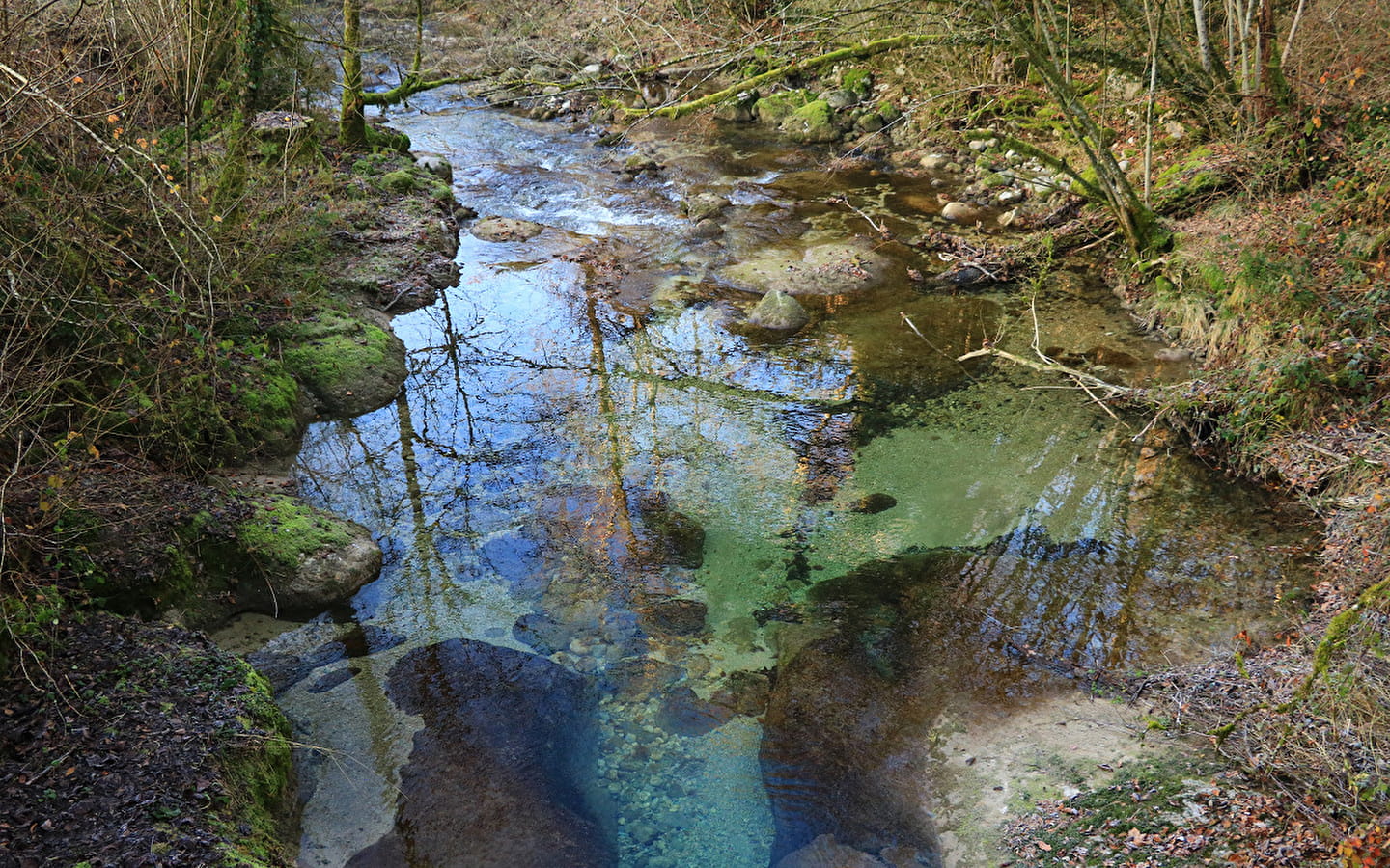 Rivière de l'Arvière, ENS de l'Ain