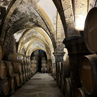 Le Cellier des Tiercelines - Cave de la Reine Jeanne - ARBOIS