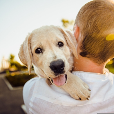 Journée dog friendly