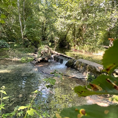 Sentier thématique : Marais des Bidonnes