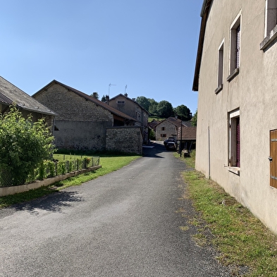 Randonnée - Forêt de la ravière et de Jailloux