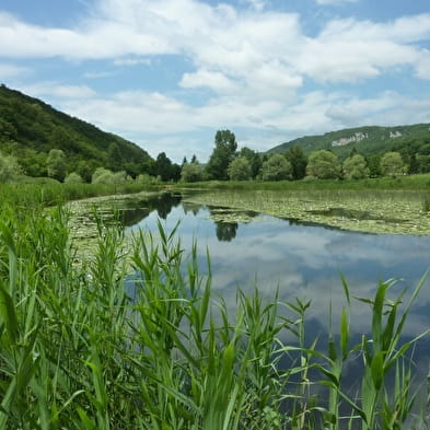 Le lac de Millieu et marais du Vernay, ENS de l'Ain