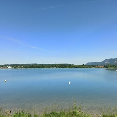 Les anciens méandres du Rhône, ENS de l'Ain